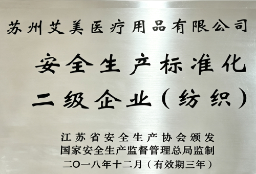 Honor Certificate 4